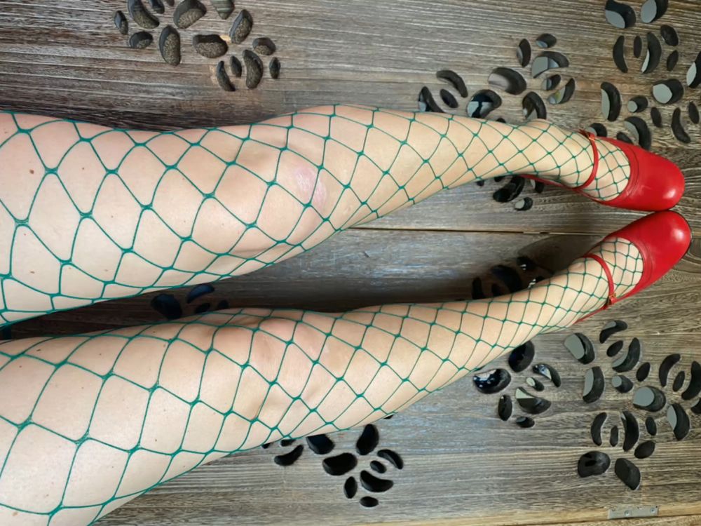 claraonlyfans50 OnlyFans profile picture