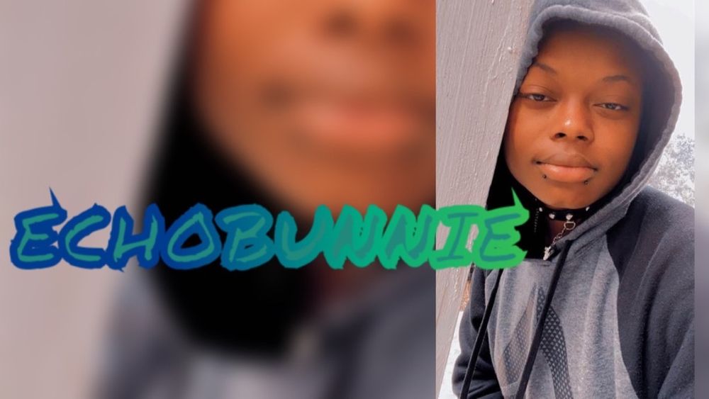 echobunnie OnlyFans profile picture