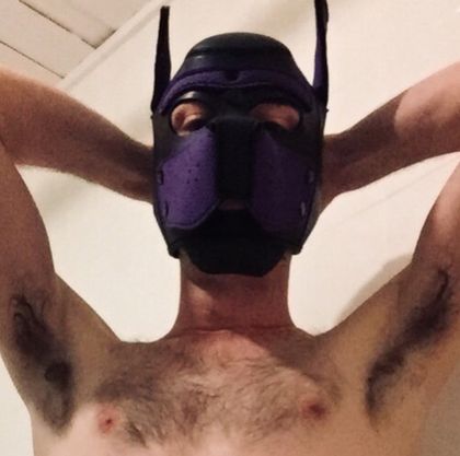 alphapup8 OnlyFans picture