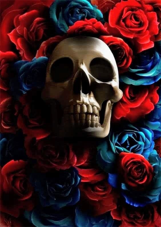 u26452605 OnlyFans profile picture
