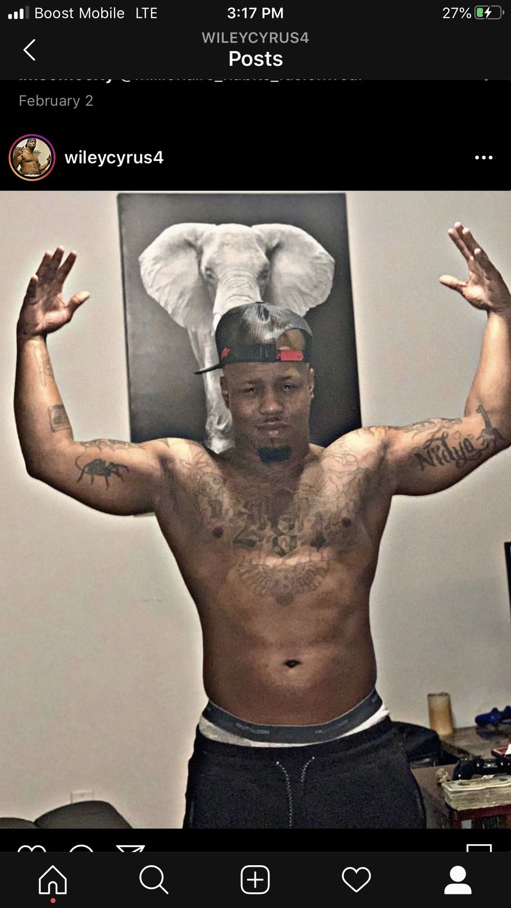 wileycyrus OnlyFans profile picture