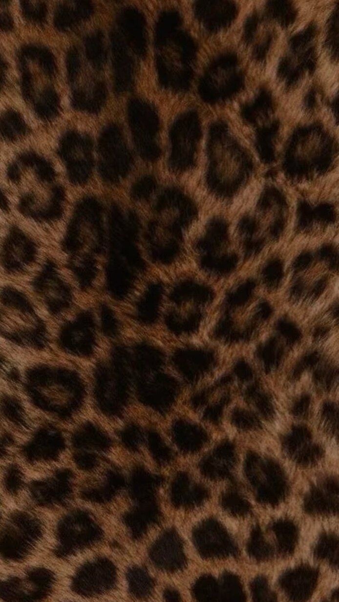 cinnamonexotic OnlyFans profile picture