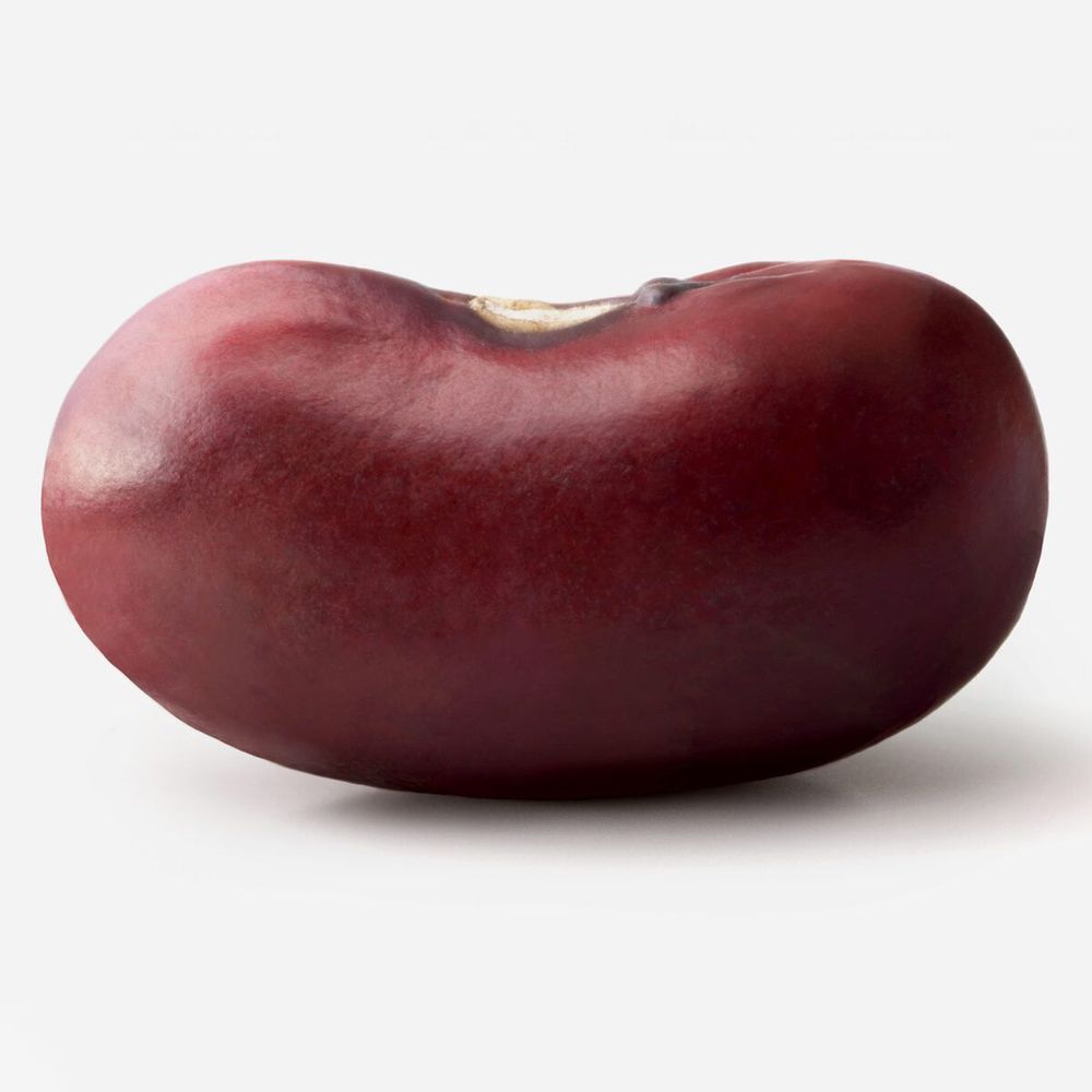 jashtor OnlyFans profile picture
