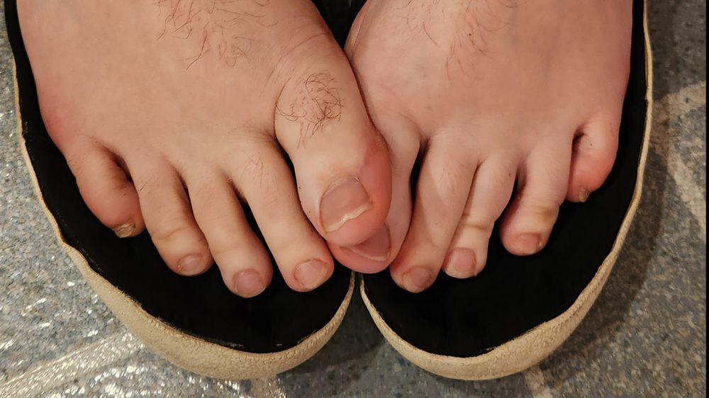 bbw_punsandpussy OnlyFans profile picture