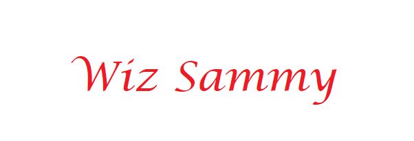 wizsamy14 OnlyFans profile picture