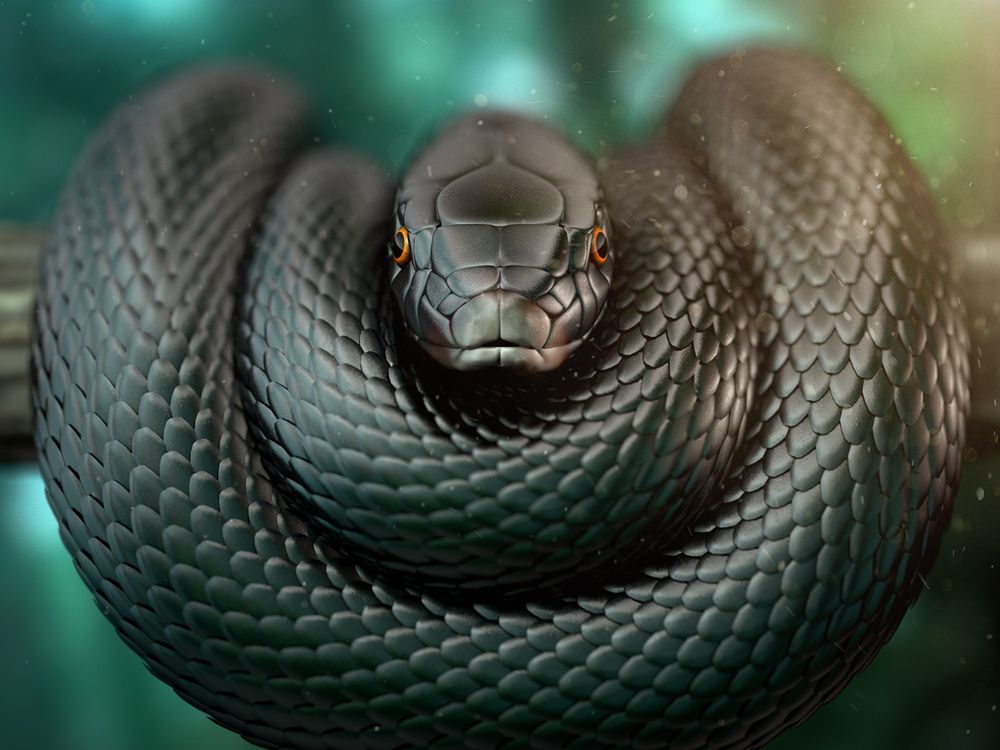 theblackmamba13 OnlyFans profile picture