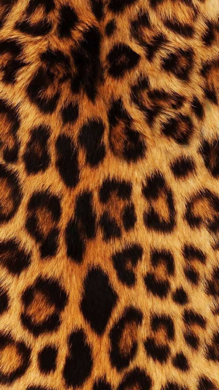 madeleine292 OnlyFans profile picture