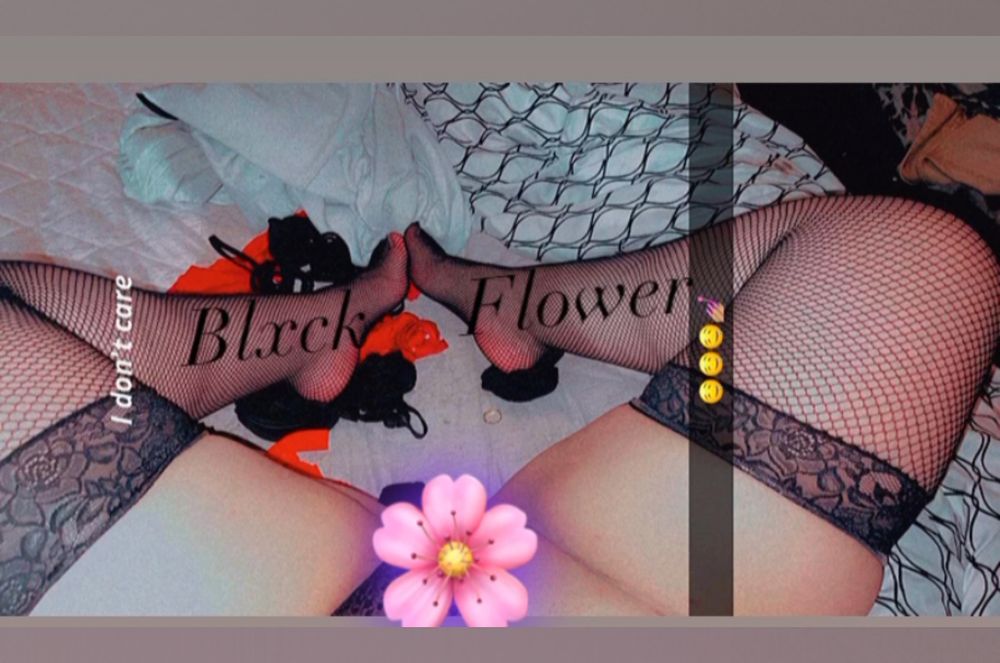 misspurple OnlyFans profile picture