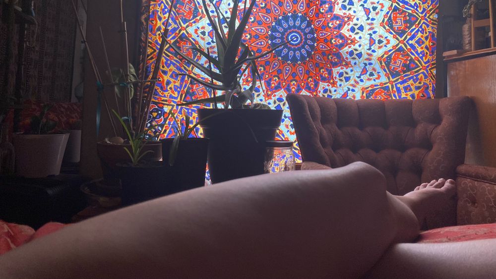 sacredhoney OnlyFans profile picture
