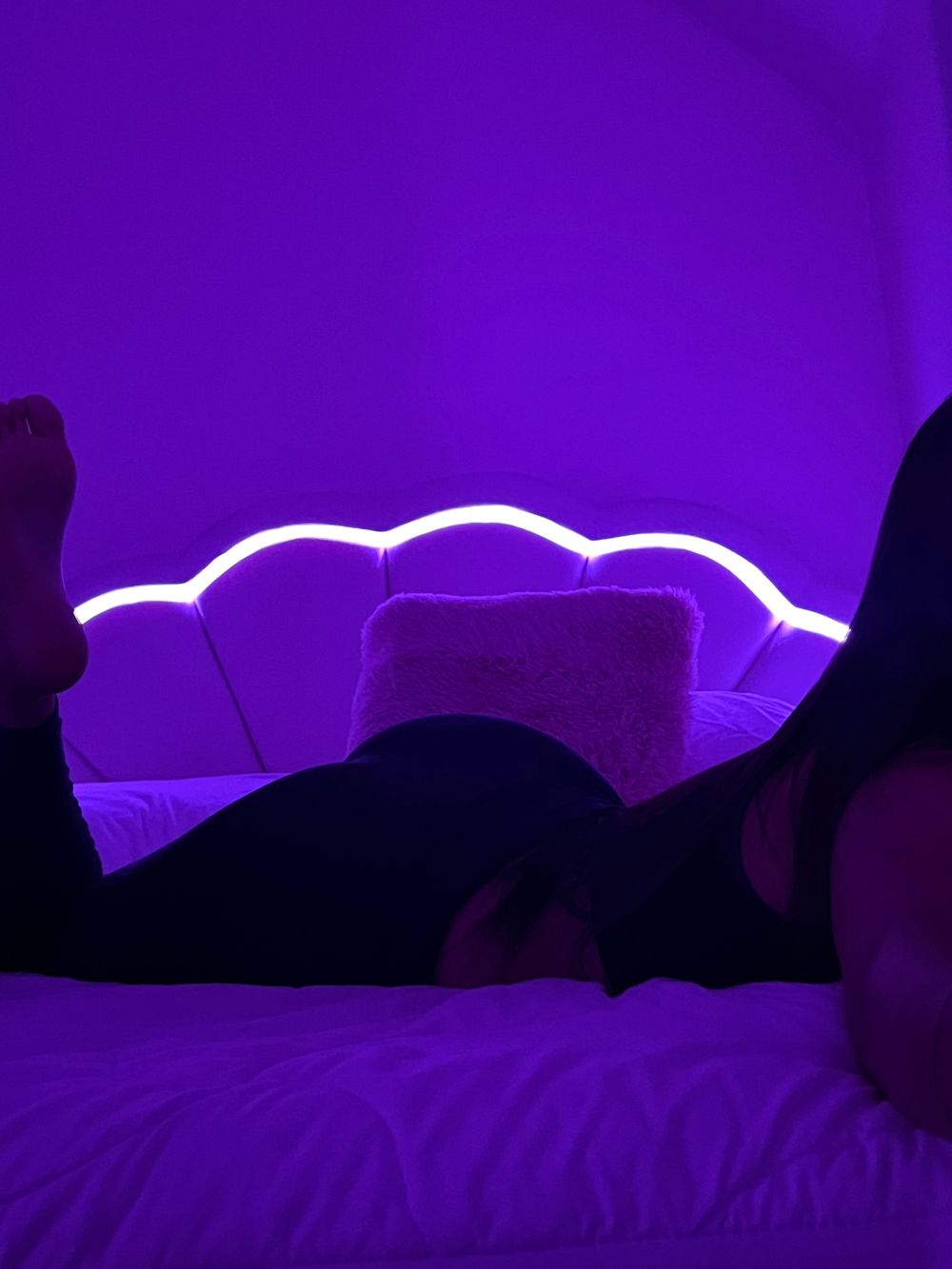 inicolepr OnlyFans profile picture