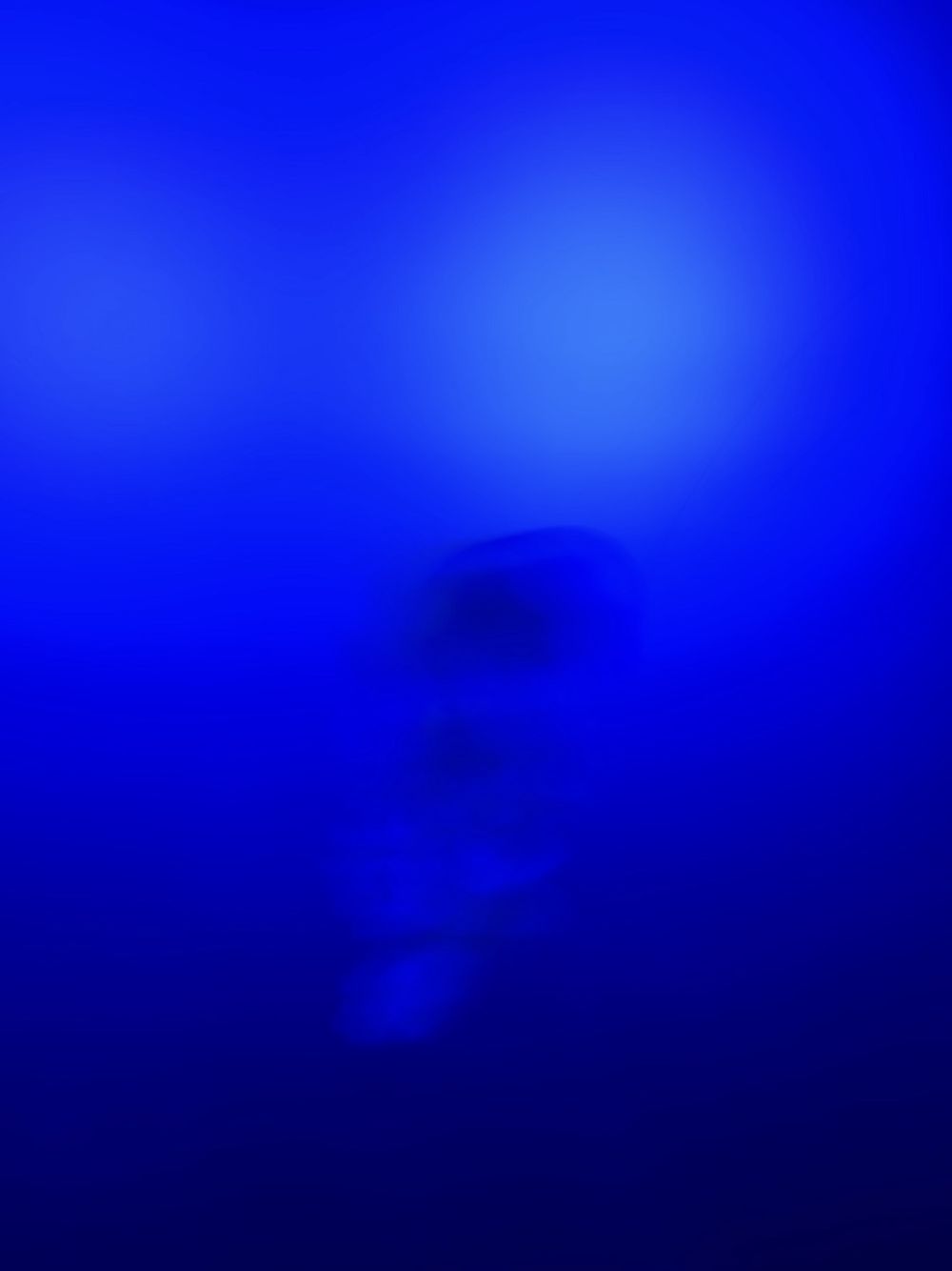 fluidleak OnlyFans profile picture