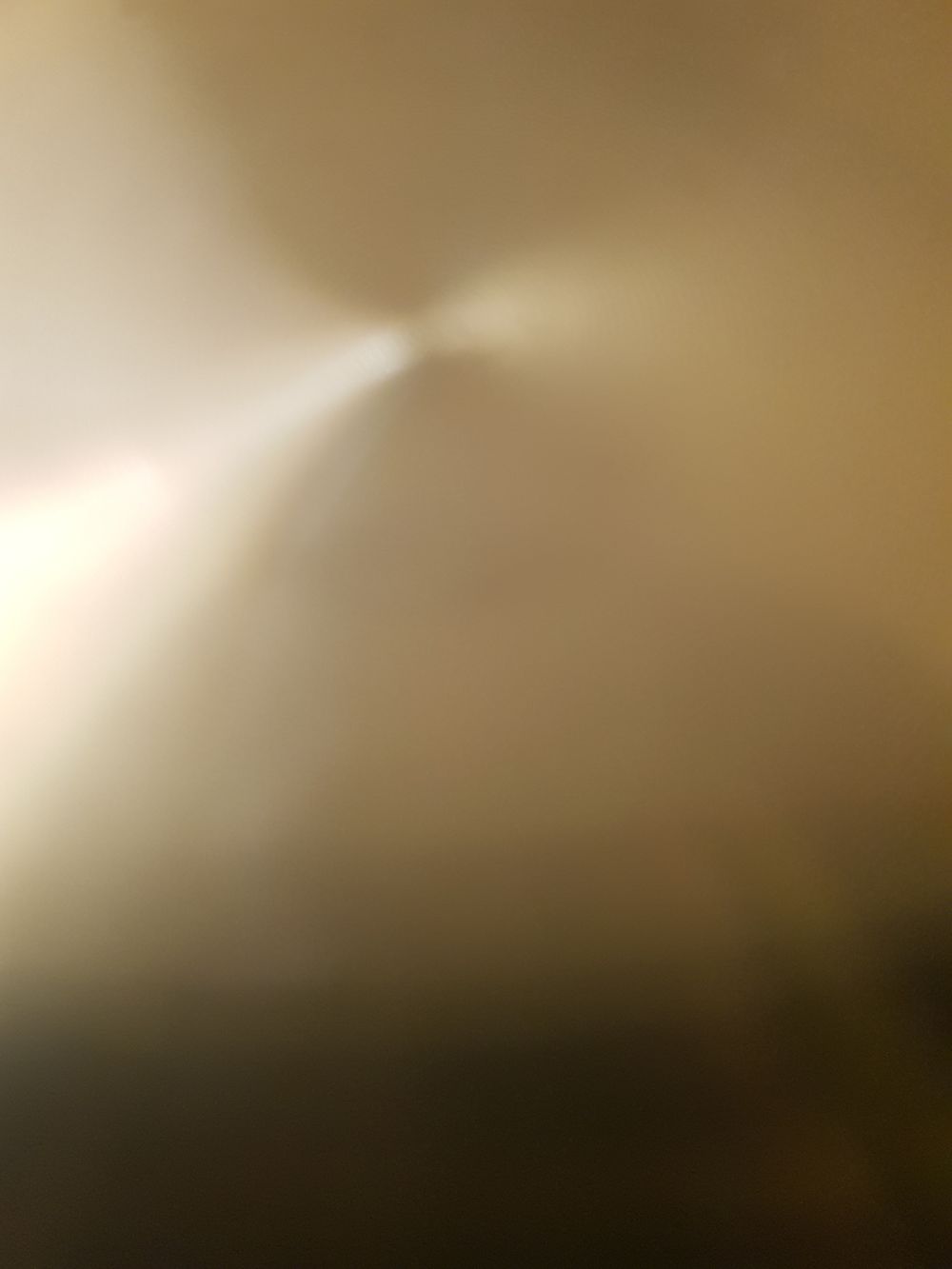 smellmypants OnlyFans profile picture
