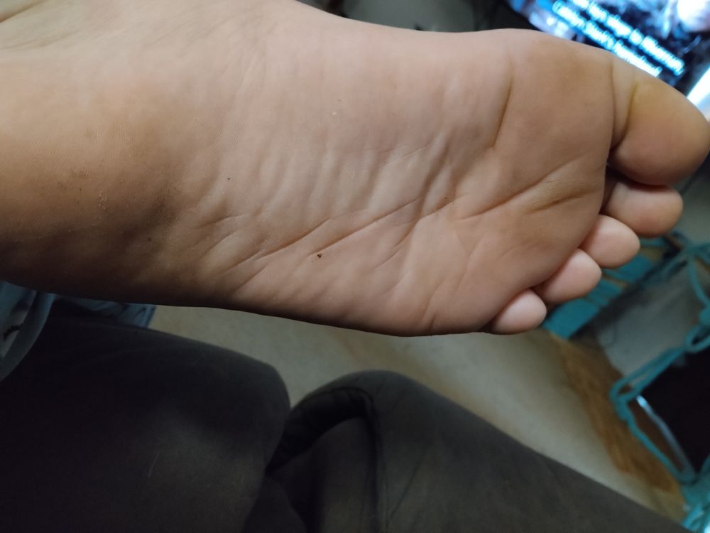 foxxiekit OnlyFans profile picture