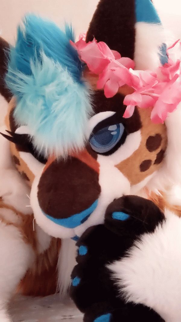 ramunetigress OnlyFans profile picture