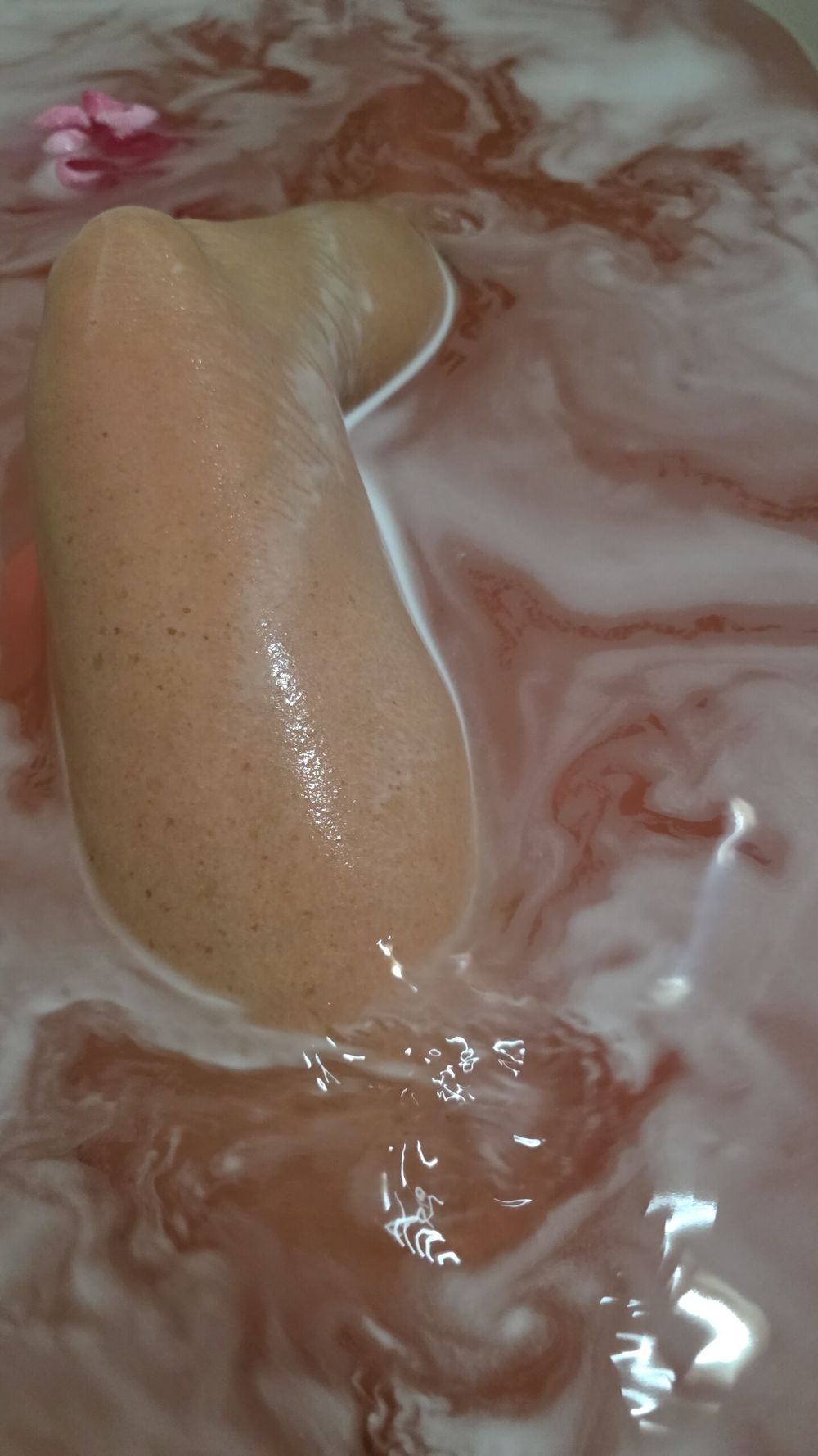 candysworld1981 OnlyFans profile picture