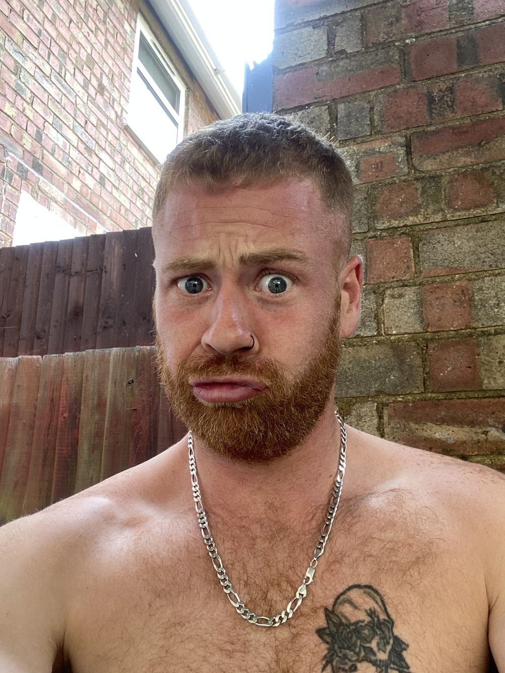 gingersherbet OnlyFans profile picture