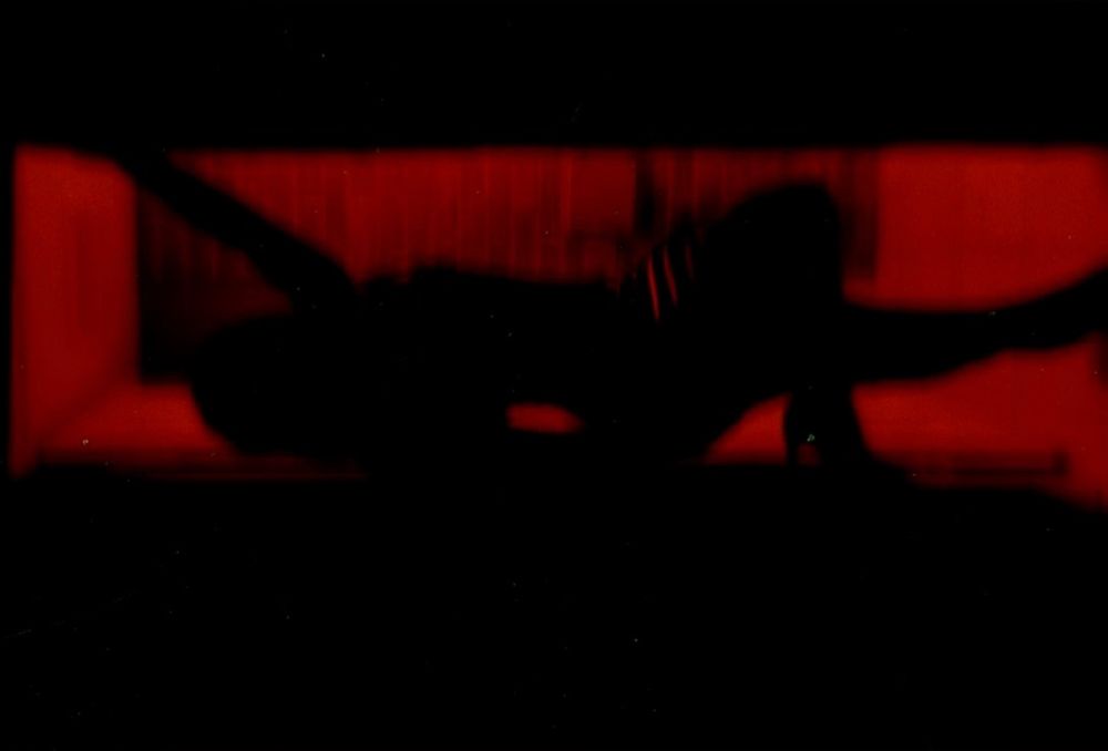 mamareddd OnlyFans profile picture