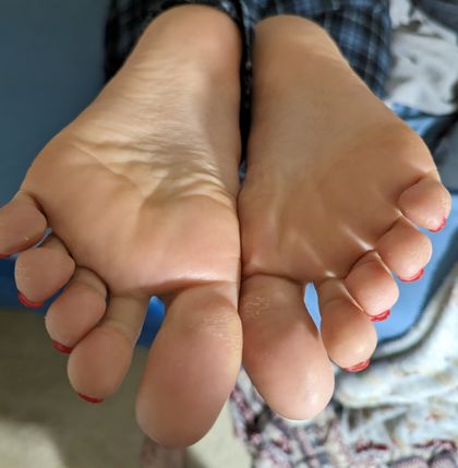 toetalauthority OnlyFans picture