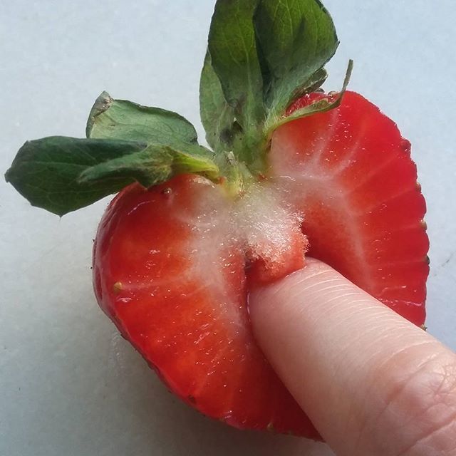 delicious_red OnlyFans profile picture