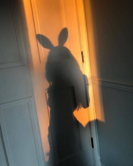loversandstrangers OnlyFans profile picture