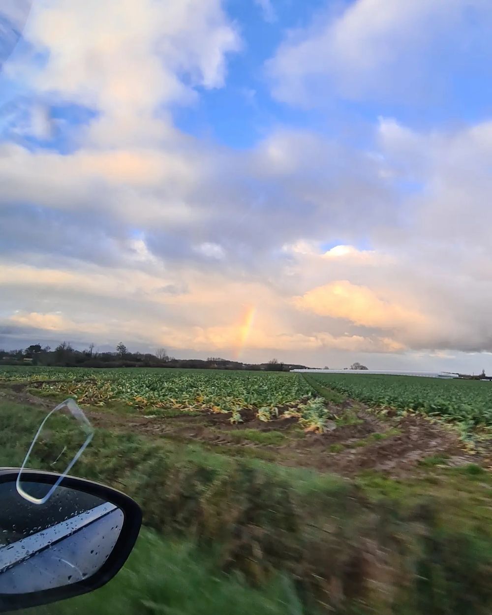 u223662210 OnlyFans profile picture