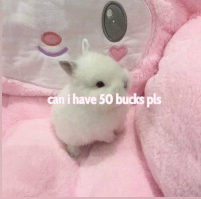 phoebunny420 OnlyFans profile picture