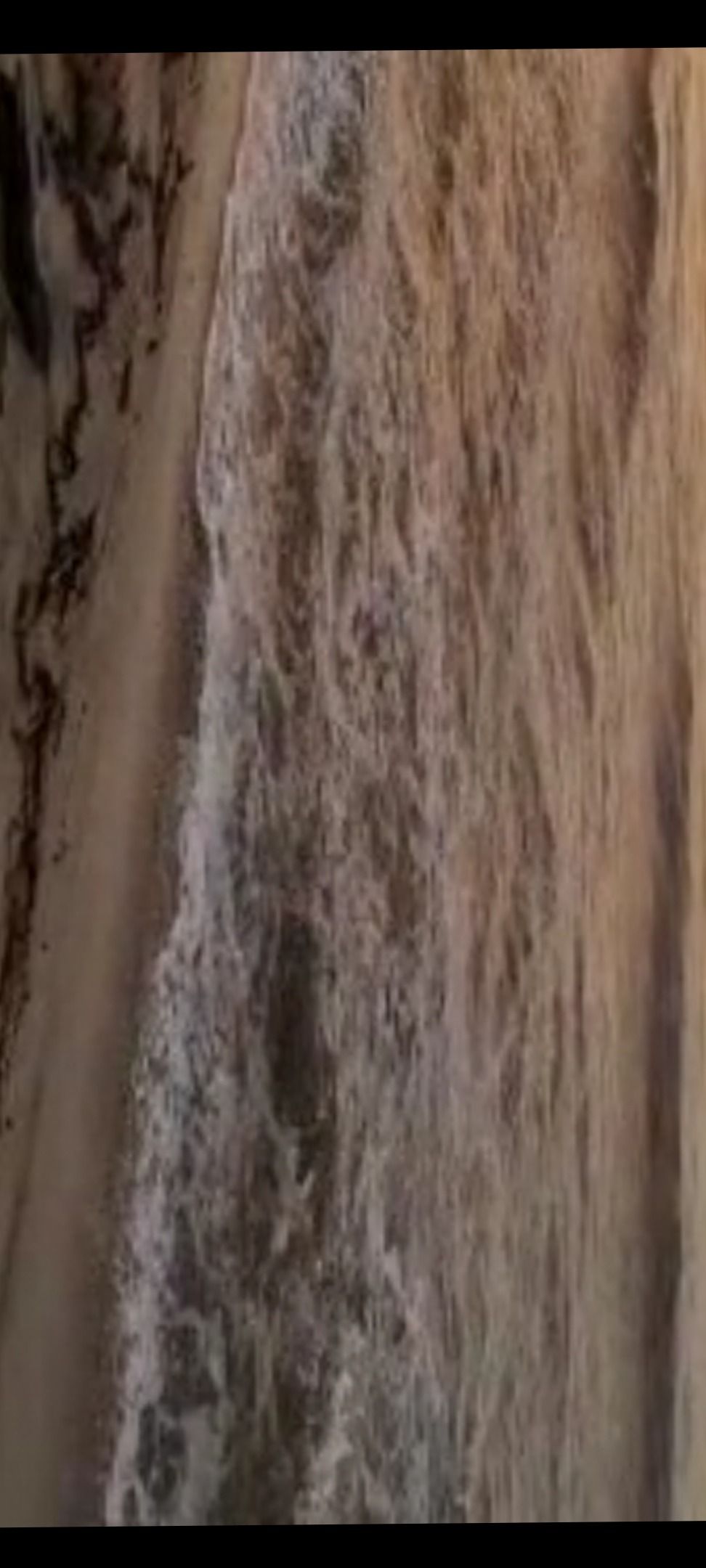 brandosamario22 OnlyFans profile picture