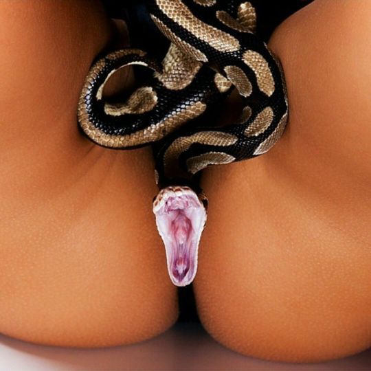 tacoslvt OnlyFans profile picture
