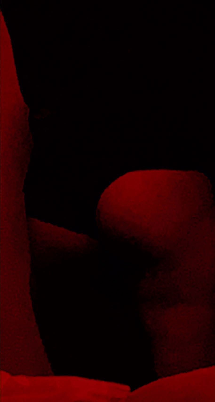 b3rri3s OnlyFans profile picture