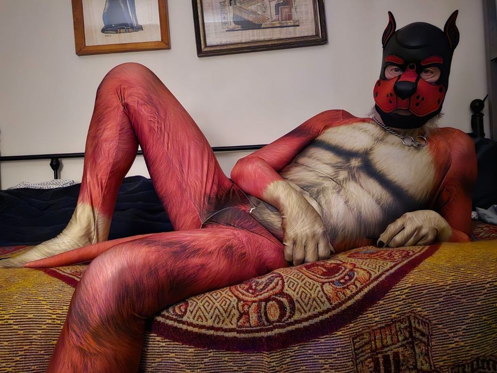 pupbigbad OnlyFans profile picture