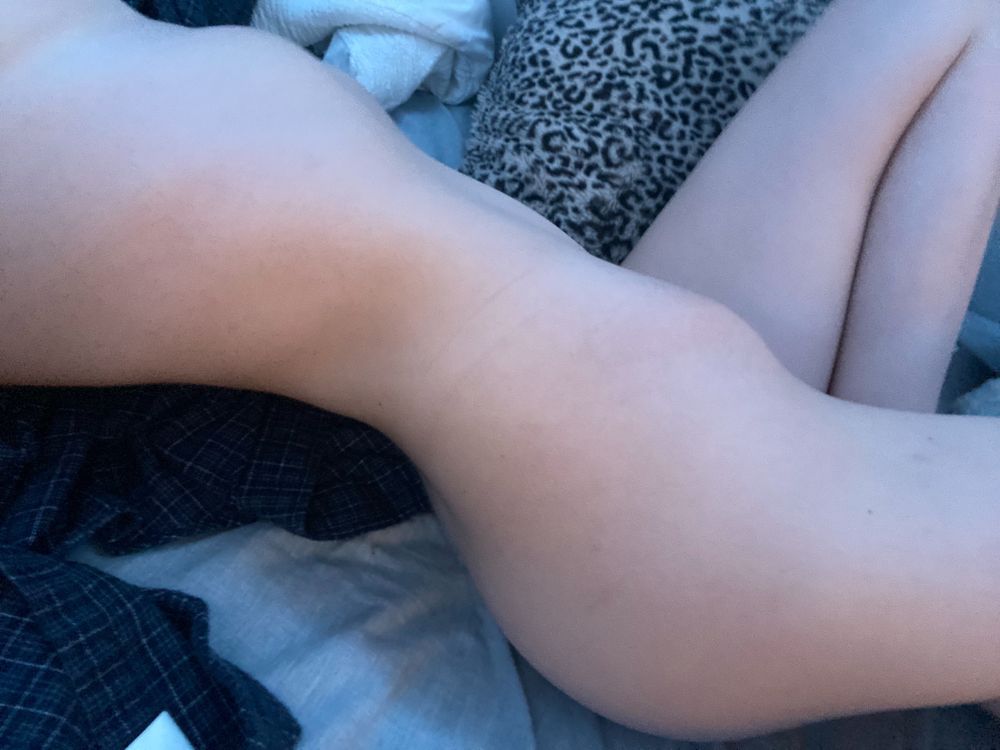 bellajayne OnlyFans profile picture