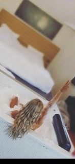 graciesfootfetish OnlyFans profile picture