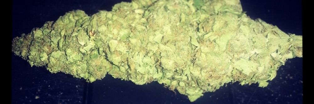 rollingstoner37 OnlyFans profile picture