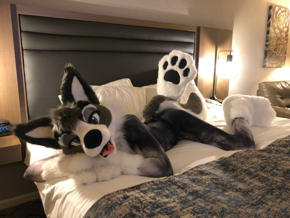 zoey_wusky OnlyFans profile picture