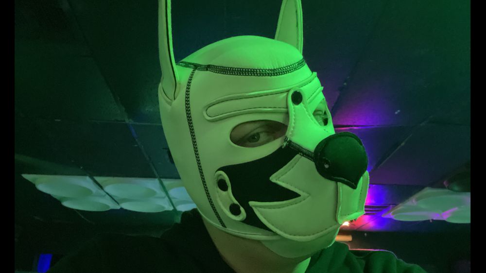 pupdaxjs OnlyFans profile picture