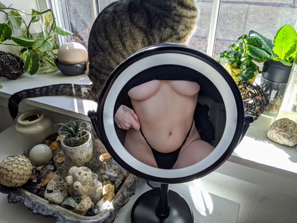 peachestv OnlyFans profile picture