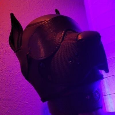 onestretchypup OnlyFans picture