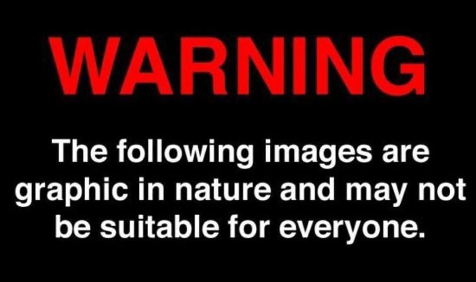 u30162826 OnlyFans profile picture