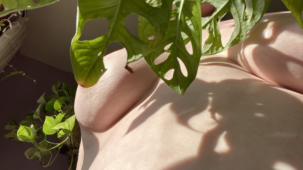 badkittyhoney OnlyFans profile picture