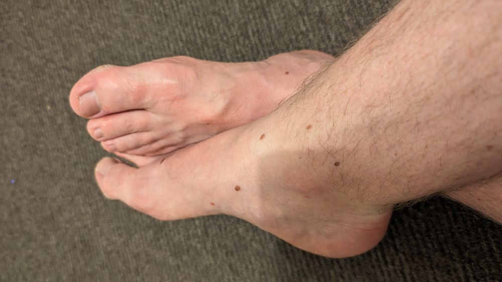 hairyhobbittoes OnlyFans profile picture