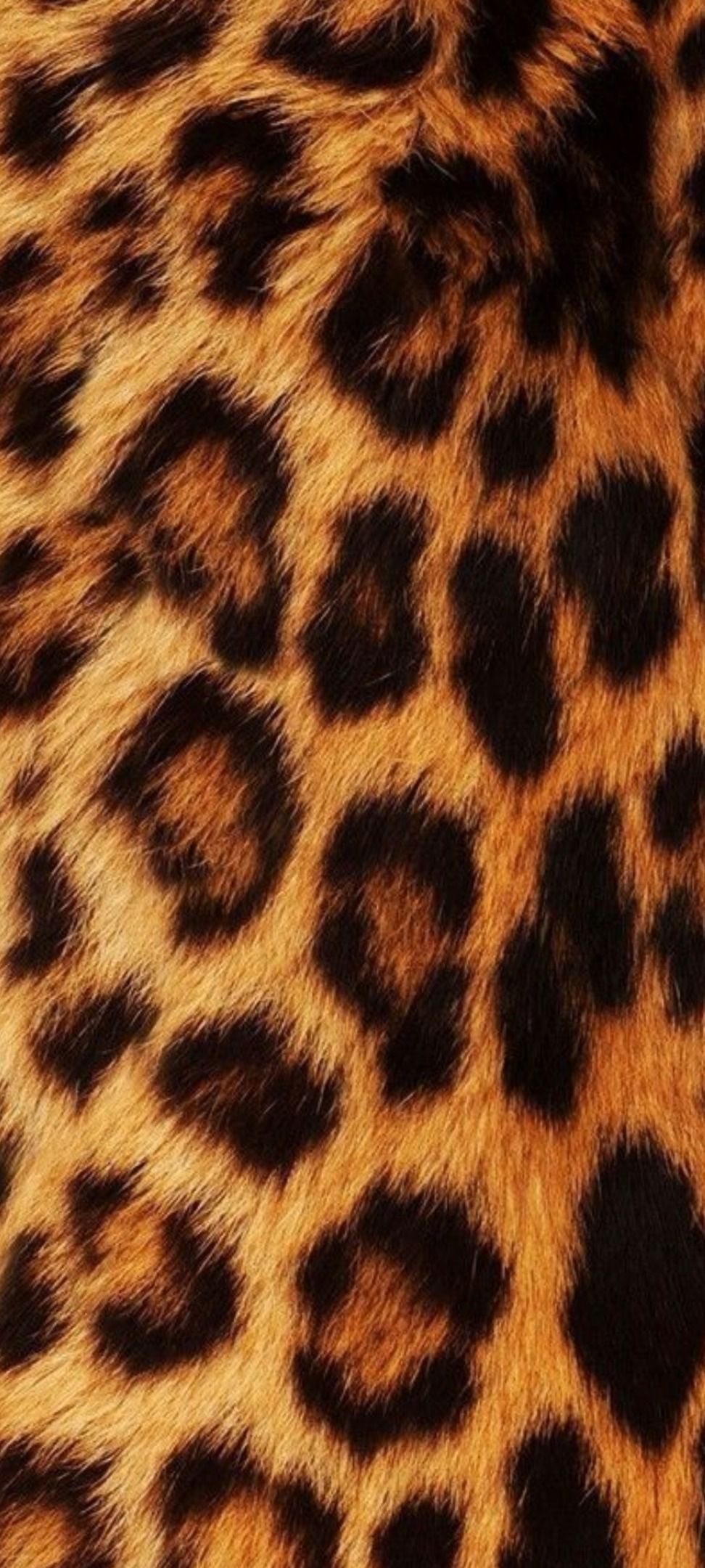 im_soshy OnlyFans profile picture