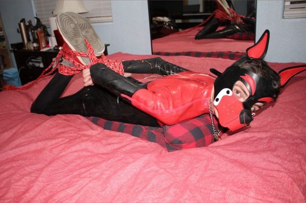 pup_drift OnlyFans profile picture