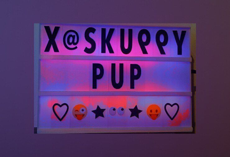 skuppy_puppy OnlyFans profile picture