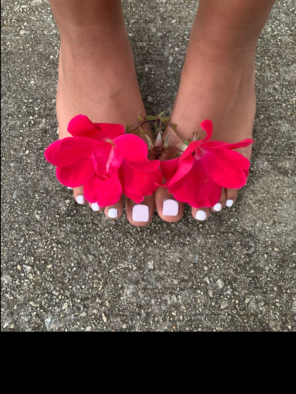 gisellemonet OnlyFans profile picture