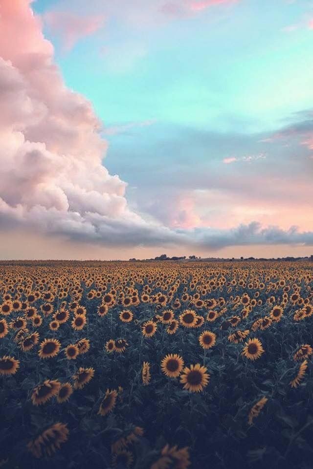 alexefron OnlyFans profile picture