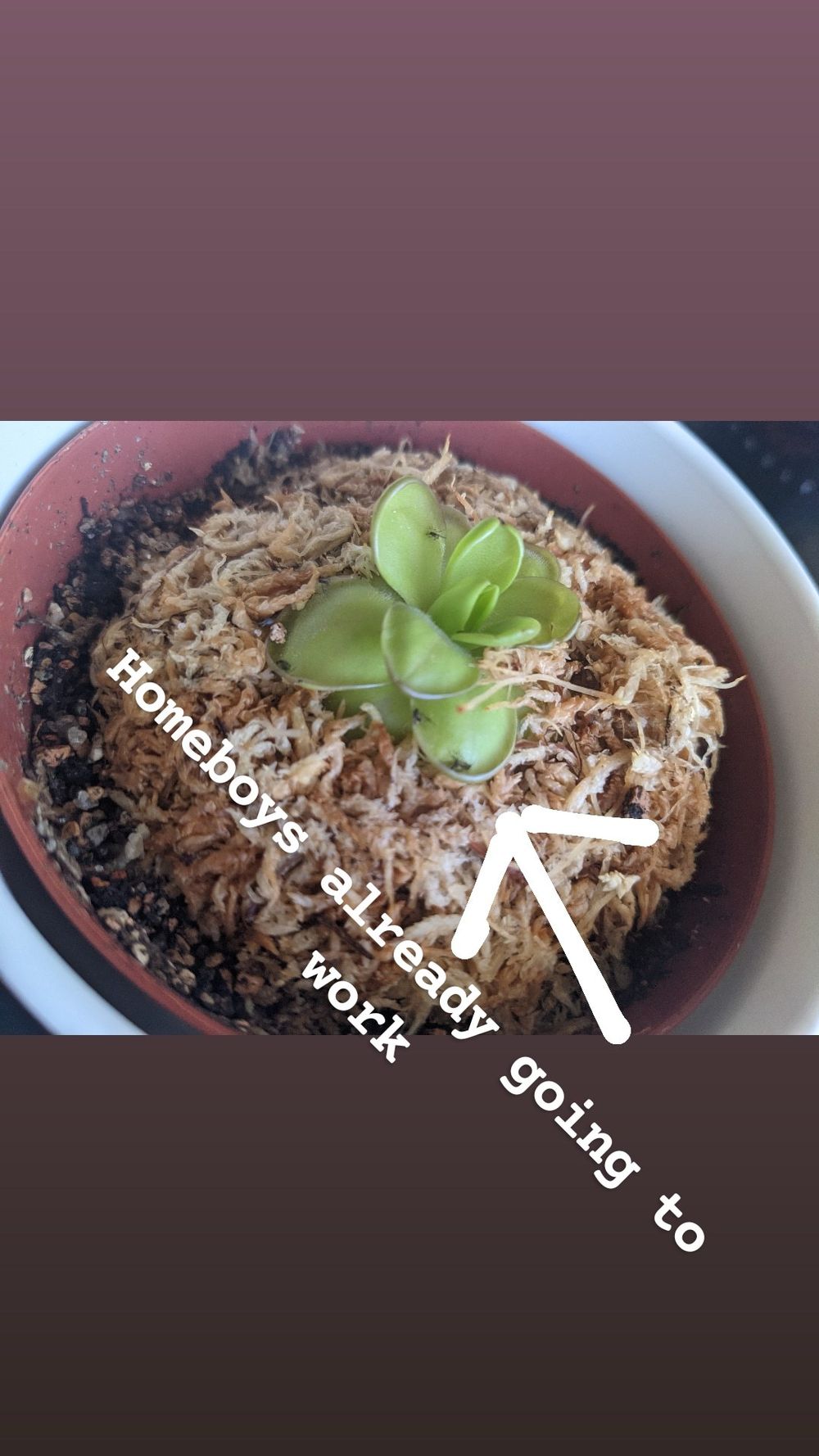 potroast69 OnlyFans profile picture