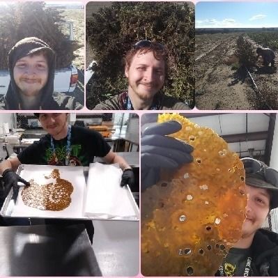 realdonnie420 OnlyFans profile picture