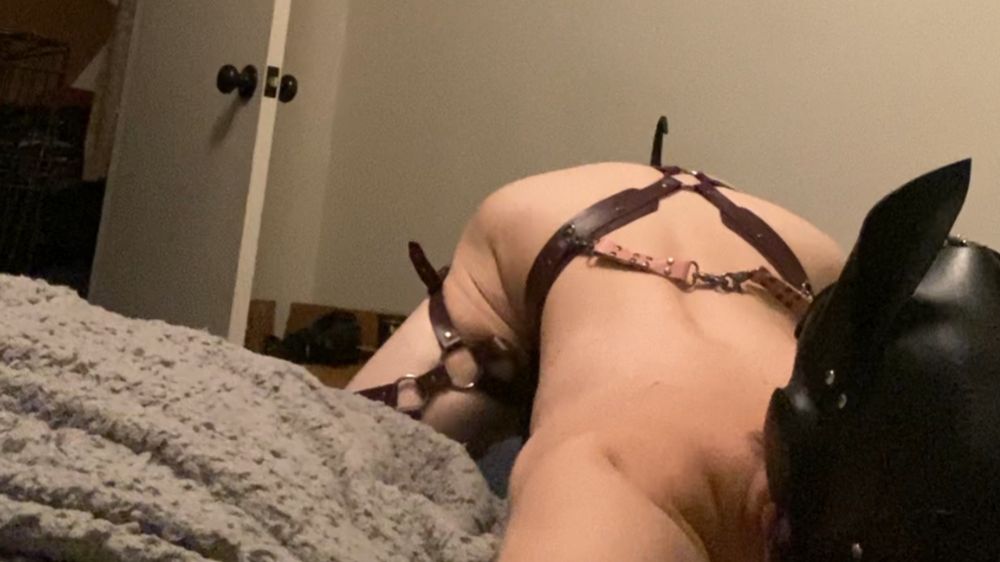 pupster1280 OnlyFans profile picture