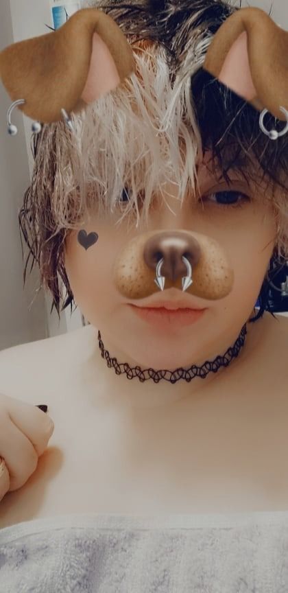 kittenbee OnlyFans picture