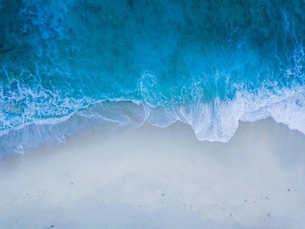 ocean.blue OnlyFans profile picture